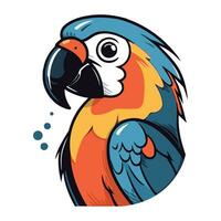 Colorful macaw parrot isolated on white background. Vector illustration.