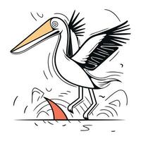 Vector illustration of pelican on the beach. Stork in the sea.