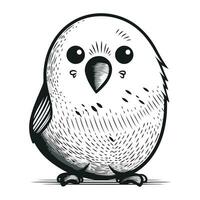 Vector illustration of a cute black and white owl isolated on a white background