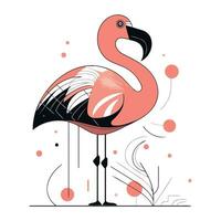 Flamingo. Flamingo vector illustration. Exotic bird.