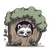 Vector illustration of a raccoon in a hole in a tree.