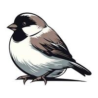 Black capped chickadee vector illustration isolated on white background