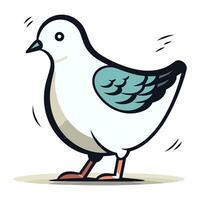 Pigeon on white background. Vector illustration in cartoon style.