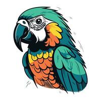 Colorful macaw parrot isolated on white background. Vector illustration.