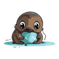 Cute baby seal with ice ball. Vector illustration isolated on white background.