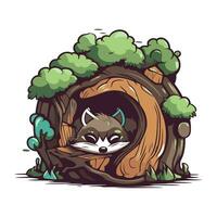 Raccoon in a hole in the tree. Vector illustration.