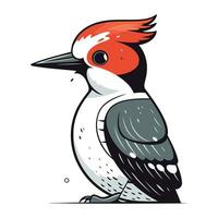 Woodpecker vector illustration isolated on white background. Woodpecker in cartoon style.