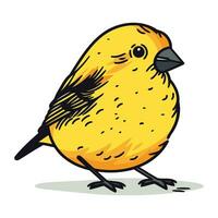 Vector illustration of a cute little yellow bird isolated on white background.