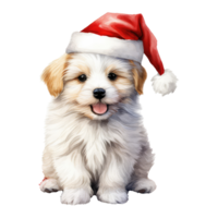 watercolor cute puppy face with smiling expressions, wearing a santa hat . AI Generated png