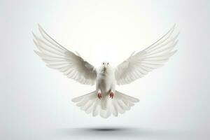 Dove isolated on white background freedom concept life. Generative AI photo