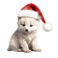 fluffy baby arctic fox sitting wearing red christmas hat . AI Generated png