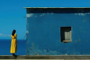 asiático mujer minimalista azul y amarillo generativo ai foto