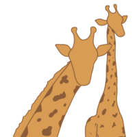 girafa levando foto pose png