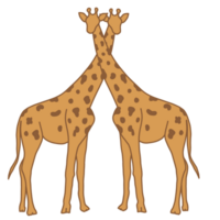 Giraffe couple illustration png