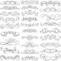 Vector graphic elements for design vector elements. Swirl elements decorative illustration