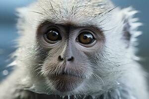 Hyper realistic extreme close up face monkey. Generative AI photo