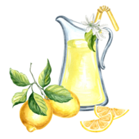 Composition of jug with lemonade, lemons with slices and flowers Watercolor hand drawn illustration  for design, stickers, patterns, packaging, cards, textiles png