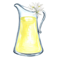 Composition of jug with lemonade and white flowers with green leaf Watercolor hand drawn illustration for design, decorating invitations, making stickers, print packaging . png