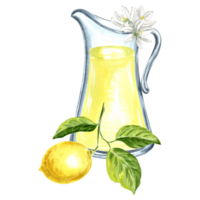 Composition of jug with lemonade, lemon and flowers Watercolor hand drawn illustration  for design, stickers, patterns, packaging, cards, textiles, embroidery. png