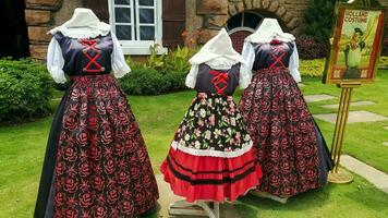 Holland or dutch costume rental in a family vacation spot photo