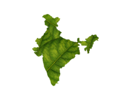 Indien Karta tillverkad av grön löv ekologi begrepp png