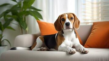 Modern living room interior. Cute beagle on couch. Generative AI photo