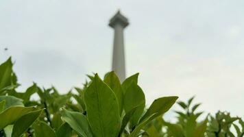 Close up view of green leaves with the National Monument or Monas Jakarta in blurred background photo