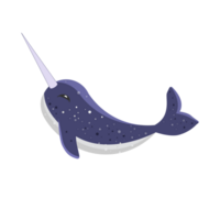 illustration of cute cartoon narwhal. Poster and banner element, children's book illustration, postcard, gift card, print for t-shirt and more, sticker, label and other. PNG. png