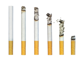 set of burning cigarette isolated png