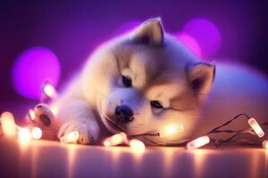 Close-up of cute dog with beautiful bokeh background, Generative AI photo