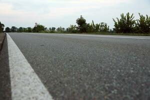 Empty asphalt road and floral field of different grass and flowers in evening time photo