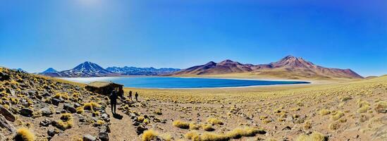 Miscanti Altiplanic Lagoon in the Atacama Desert - San Pedro de Atacama. photo