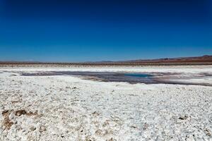 Landscape of the Hidden Baltinache Lagoons - Atacama Desert - Chile. photo