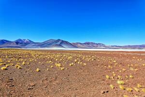 Piedras Rojas - Atacama Desert - San Pedro de Atacama. photo