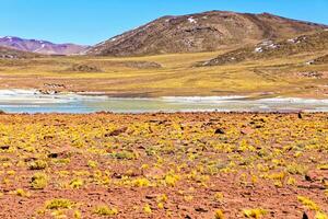 Piedras Rojas - Atacama Desert - San Pedro de Atacama. photo