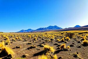 Landscapes on the way to the Altiplanic Lagoons in the Atacama Desert - San Pedro de Atacama - Chile photo