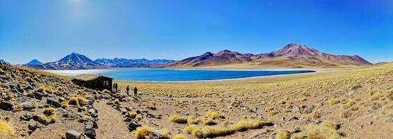 Miscanti Altiplanic Lagoon in the Atacama Desert - San Pedro de Atacama. photo