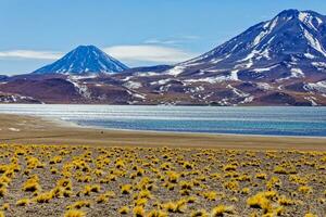 Miscanti Altiplanic Lagoon in the Atacama Desert - San Pedro de Atacama. photo