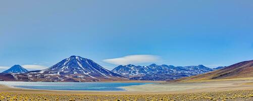 Miscanti Altiplanic Lagoon in the Atacama Desert - San Pedro de Atacama. photo