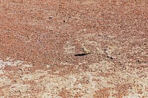 piedras rojas - atacama Desierto - san pedro Delaware atacama. foto