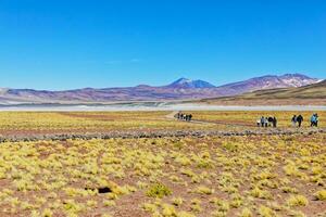 Piedras Rojas - Atacama Desert - San Pedro de Atacama. photo