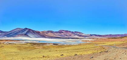 Salar de Aguas Calientes Viewpoint - Atacama Desert - San Pedro de Atacama. photo