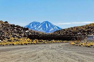 Miniques Altiplanic Lagoon in the Atacama Desert - San Pedro de Atacama. photo