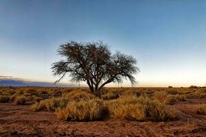 Landscapes of the Atacama Desert - San Pedro de Atacama - El Loa - Antofagasta Region - Chile. photo