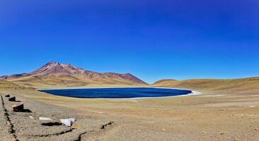 Miniques Altiplanic Lagoon in the Atacama Desert - San Pedro de Atacama. photo