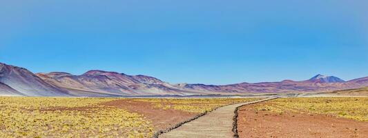 Piedras Rojas - Atacama Desert - San Pedro de Atacama. photo