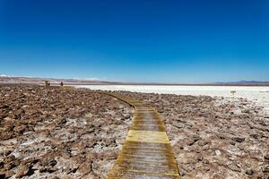 Landscape of the Hidden Baltinache Lagoons - Atacama Desert - Chile. photo