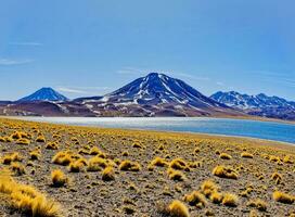 Miscanti Altiplanic Lagoon in the Atacama Desert - San Pedro de Atacama. photo