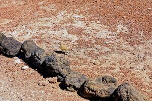 Piedras Rojas - Atacama Desert - San Pedro de Atacama. photo