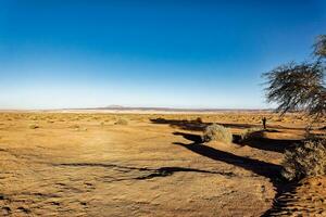 paisajes de el atacama Desierto - san pedro Delaware atacama - el loa - antofagasta región - Chile. foto